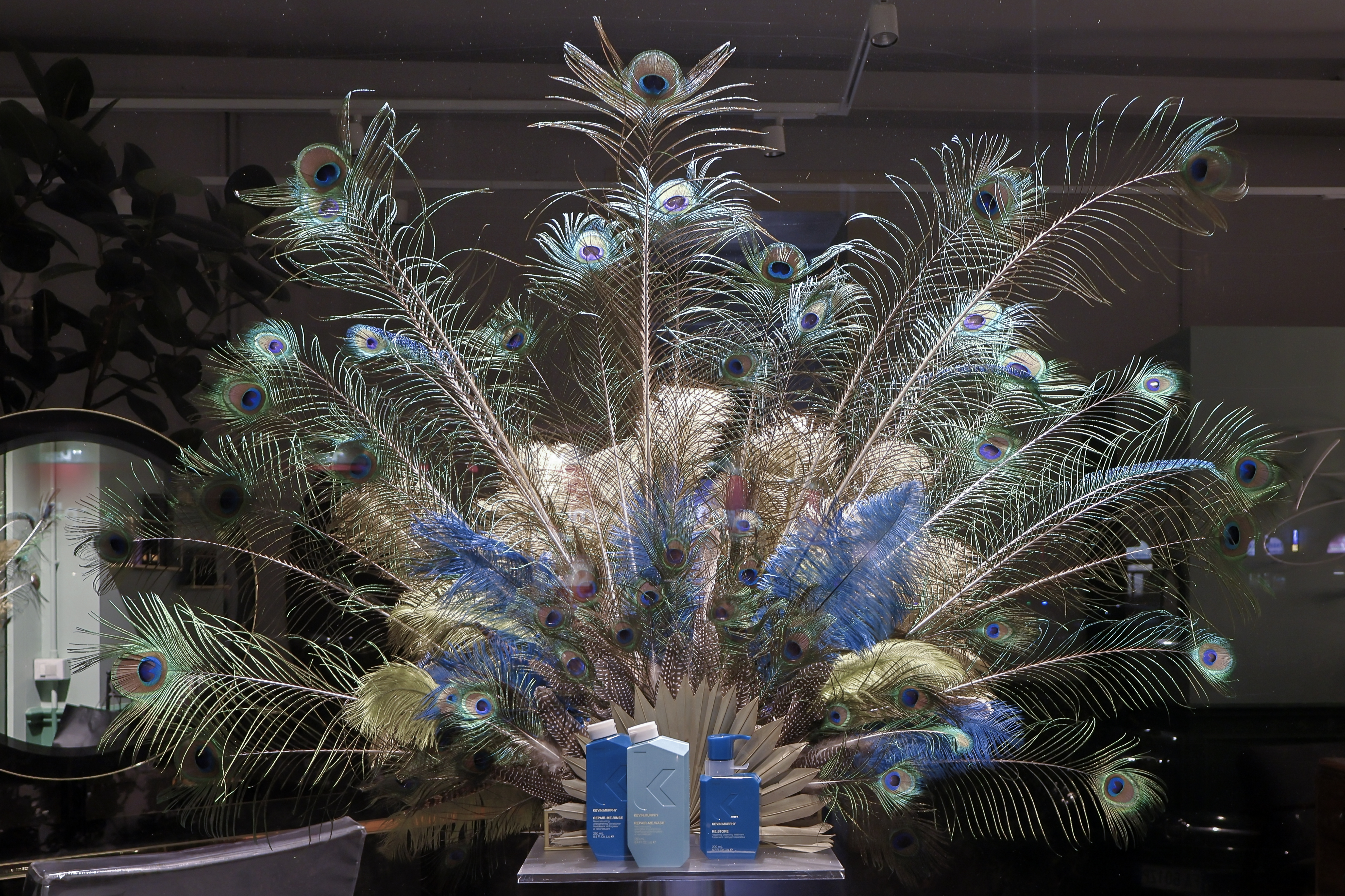 DISPLAY VETRINA